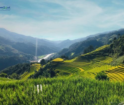 Mu Cang Chai, is celebrated for its stunning terraced rice fields that cascade down the slopes.