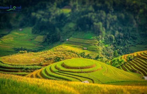 Ha Giang is a breathtaking province in northern Vietnam, renowned for its stunning landscapes featuring towering limestone karst formations.