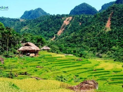 Kho Muong Village, nestled in the Pu Luong Nature Reserve of Vietnam, is a tranquil haven surrounded by lush landscapes.