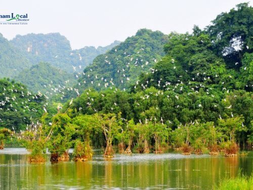 Cuc Phuong National Park, is a biodiverse haven where lush rainforests.