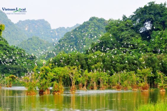 Cuc Phuong National Park, is a biodiverse haven where lush rainforests.