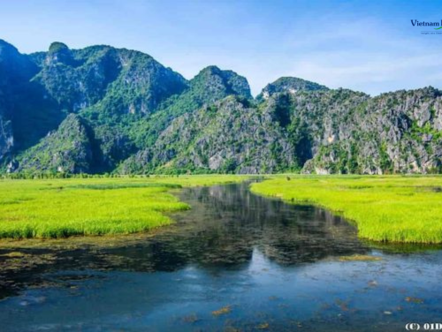 Van Long Nature Reserve, is renowned for its serene wetland landscape.