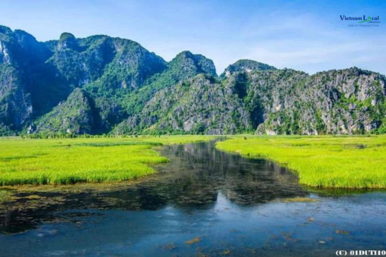 Van Long Nature Reserve, is renowned for its serene wetland landscape.