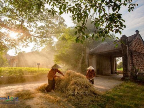 Duong Lam Ancient Village, is a well-preserved gem showcasing traditional Vietnamese architecture.