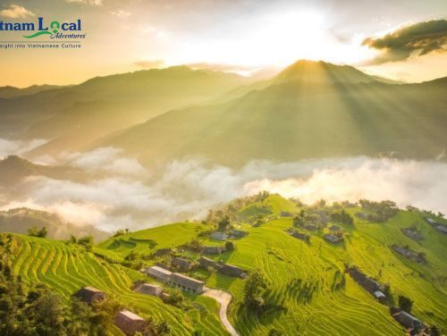 Ha Giang, adorned in the ripe rice season, unveils a breathtaking landscape of terraced fields painted in vibrant shades of gold beauty.