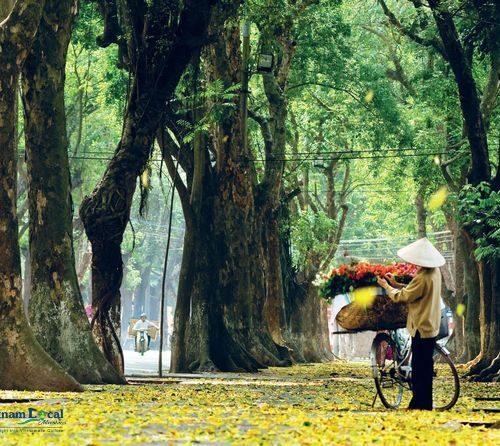 Hanoi transforms into a captivating spectacle at night, where the city's ancient charm meets a vibrant contemporary energy.