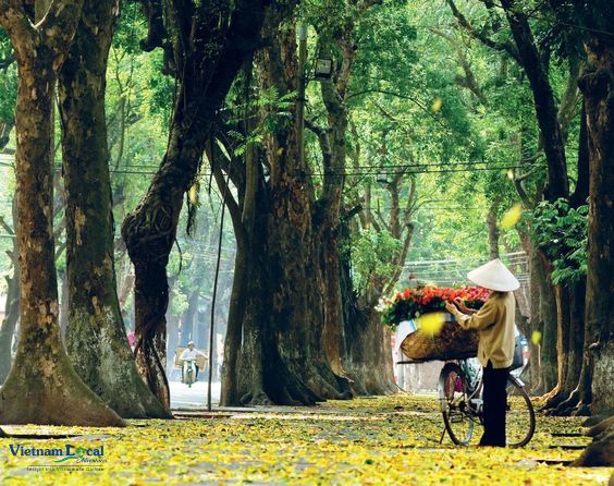 Hanoi transforms into a captivating spectacle at night, where the city's ancient charm meets a vibrant contemporary energy.