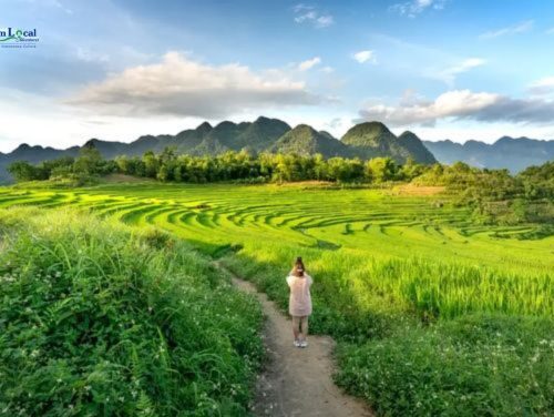 Kho Muong Village, nestled in the Pu Luong Nature Reserve of Vietnam, is a tranquil haven surrounded by lush landscapes.