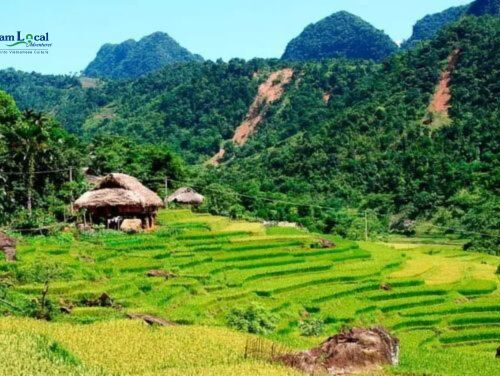 Kho Muong Villages,offer a tranquil escape with traditional stilt houses surrounded by terraced fields.