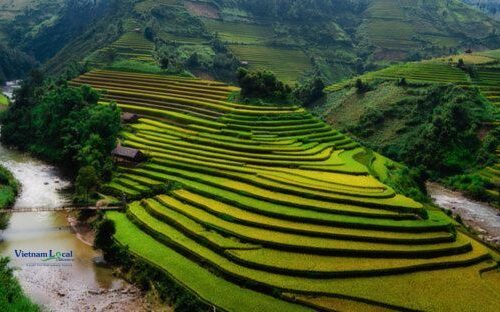 La Pan Tan renowned for its breathtaking terraced rice fields that create a picturesque landscape.