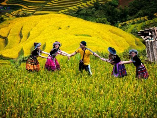 Lao Chai Village, nestled in the picturesque Sapa region of Vietnam.