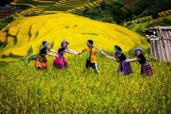 Lao Chai Village, nestled in the picturesque Sapa region of Vietnam.