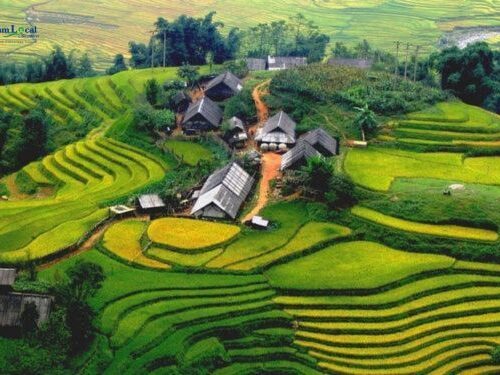 Lao Chai and Ta Van Village, nestled in the picturesque Sapa region of Vietnam.