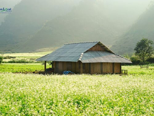 Mộc Châu is a serene highland town in northern Vietnam.