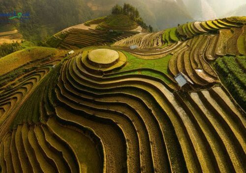 Mu Cang Chai, is celebrated for its stunning terraced rice fields that cascade down the slopes.