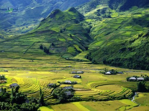 Mu Cang Chai, is celebrated for its stunning terraced rice fields that cascade down the slopes.