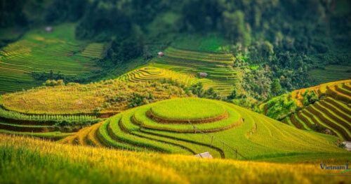 Muong Lo, is renowned where lush rice fields, ethnic minority cultures.