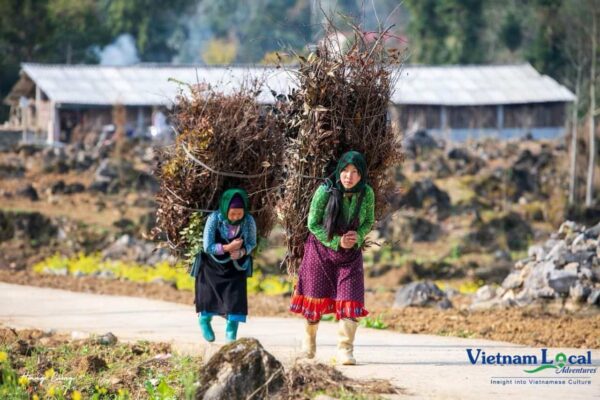 Ha Giang, located in the northernmost region of Vietnam, mesmerizes with its majestic landscapes featuring towering limestone peaks