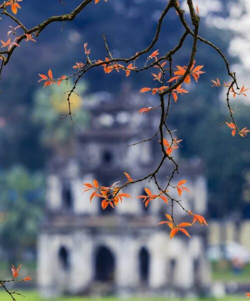 On a tranquil autumn afternoon at Sword Lake in Hanoi, the atmosphere is imbued with a sense of poetic serenity.