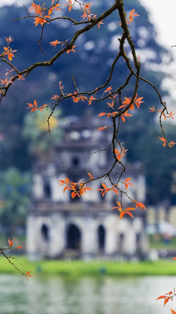 On a tranquil autumn afternoon at Sword Lake in Hanoi, the atmosphere is imbued with a sense of poetic serenity.