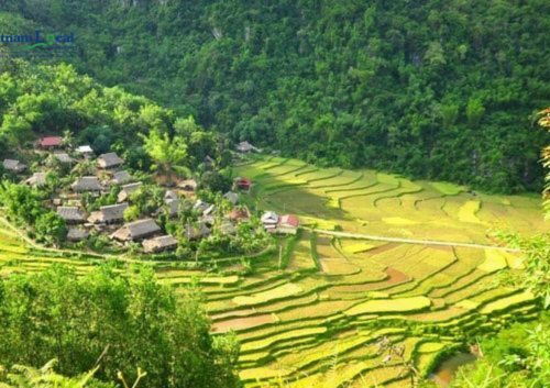 Pu Luong National Park is a pristine natural haven where lush jungles, cascading waterfalls.