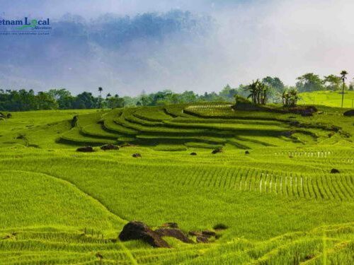 Pu Luong National Park is a pristine natural haven where lush jungles, cascading waterfalls.