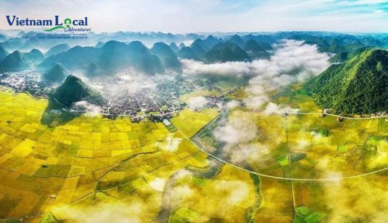 Bac Son Valley in northern Vietnam is a picturesque gem, celebrated for its mesmerizing karst landscapes.