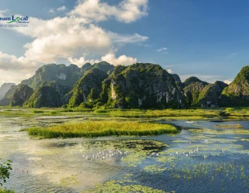 Van Long Nature Reserve, is renowned for its serene wetland landscape.