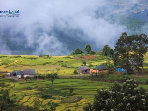 Y Ty, captivates with its pristine landscapes featuring terraced fields.