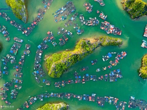 Halong Bay,is renowned for its breathtaking seascape of thousands of limestone karsts and islets.