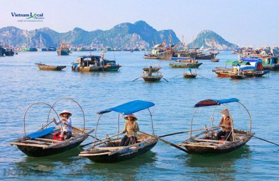 Viet Hai Village, nestled on Cat Ba Island in Halong Bay, Vietnam.