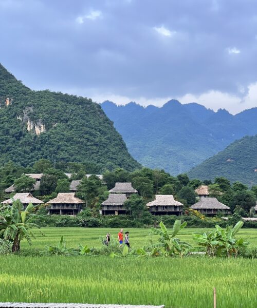 Eco And Authentic Mai Chau - Pu Luong - Ninh Binh