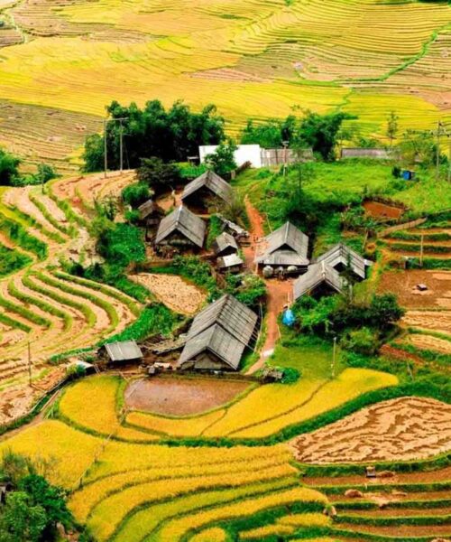9-Day North to South Vietnam Experience: Sapa Trekking, Fansipan, HCMC & Phu Quoc Beach