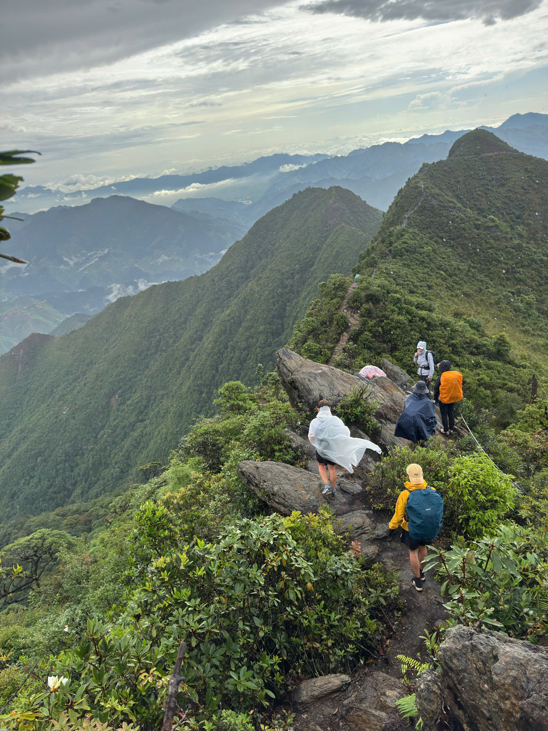 z6684140669940_12adf119680e13bf7af82920c3847080