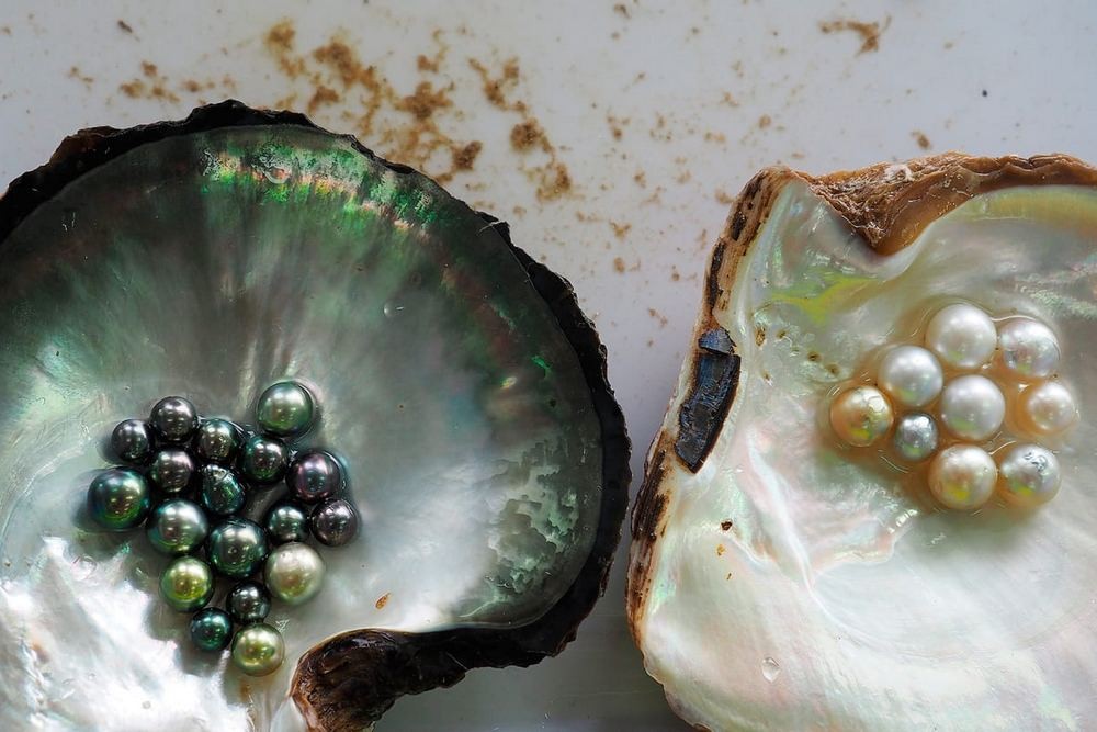 z7309101899101_74fc7c31ebf19a9fe8c97ce4a41effc9