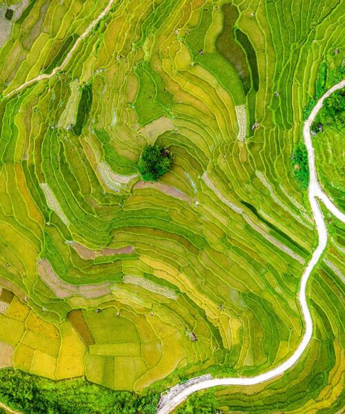 2-Day Pu Luong Offbeat Trek: Hidden Villages, Jungle Trails & Cave Exploration from Hanoi