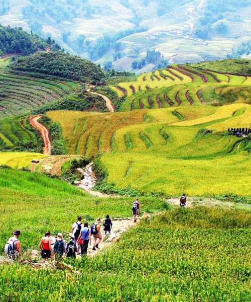 9-Day Vietnam Adventure: Sapa Trekking, Ha Giang Loop, Ban Gioc Waterfall & Ninh Binh Escape