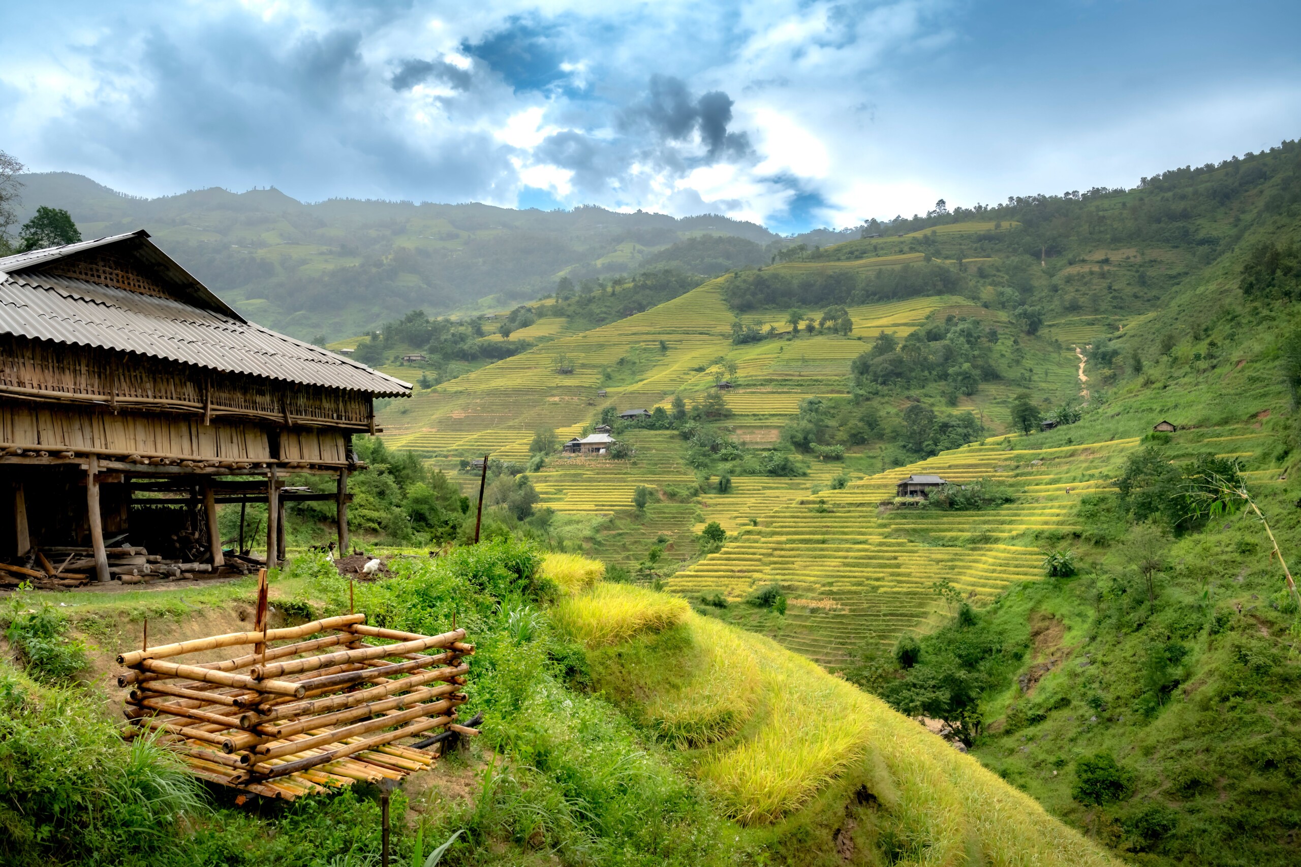 Homestay Culture in Vietnam: What to Expect in Ethnic Minority Villages