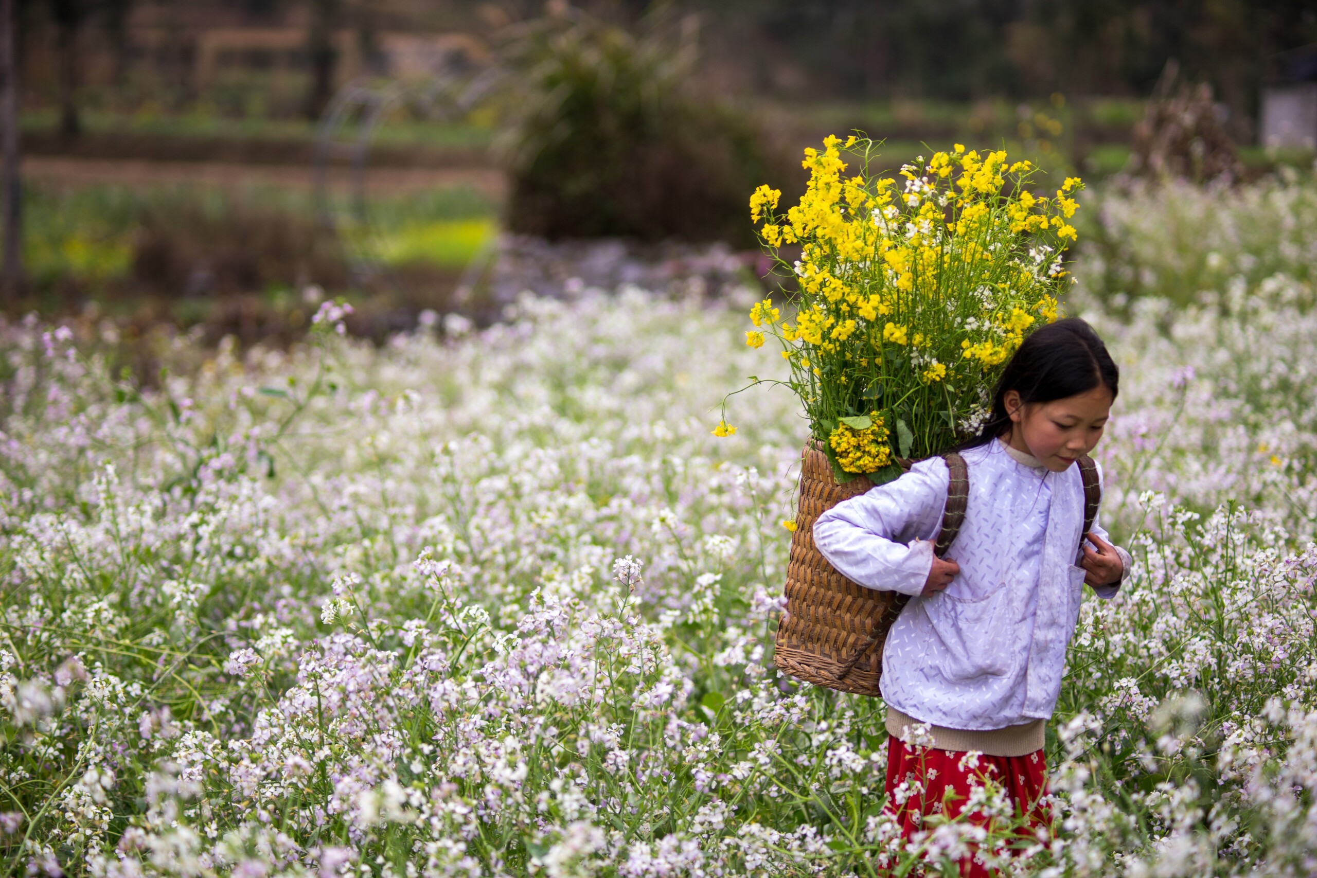 Private Ha Giang Loop Tour: Its Ultimate 4-Day Adventure