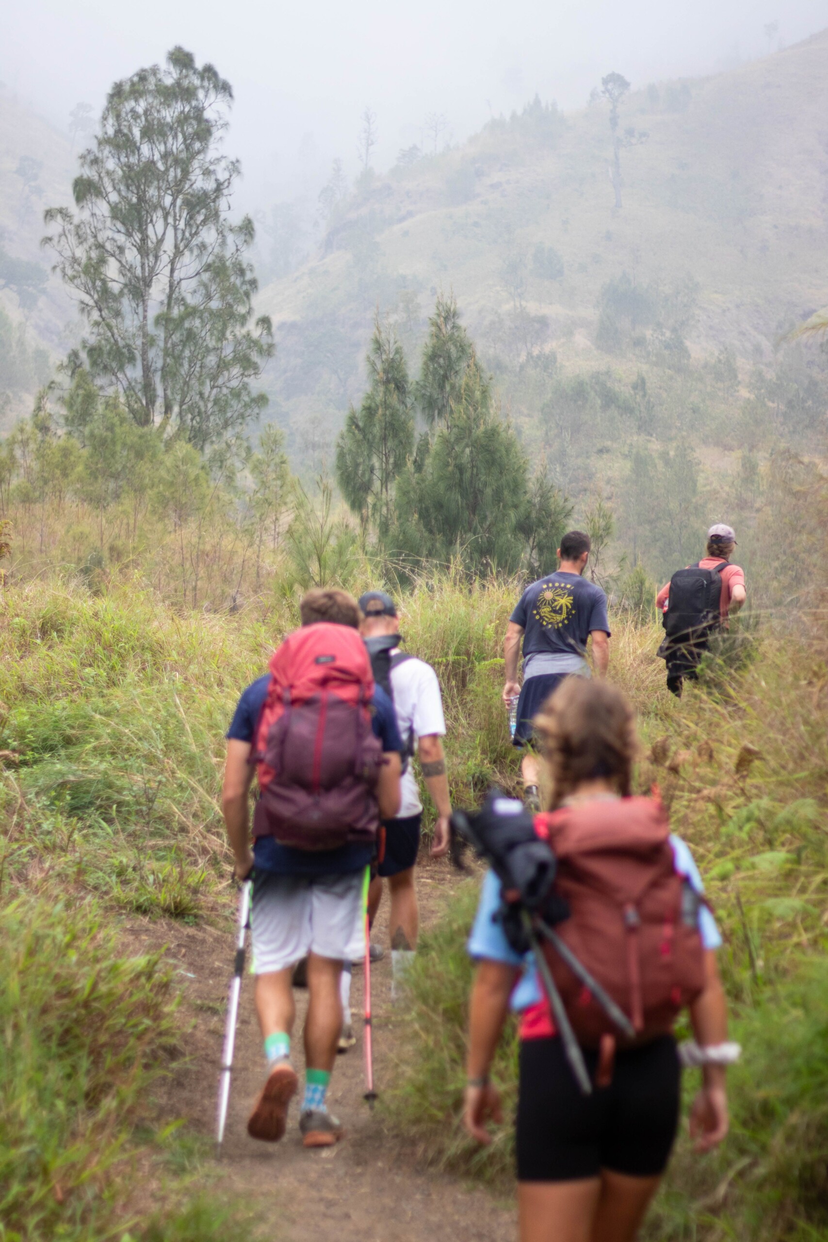 Trekking Mount Fansipan: The Non-Cable Car Route for True Adventurers