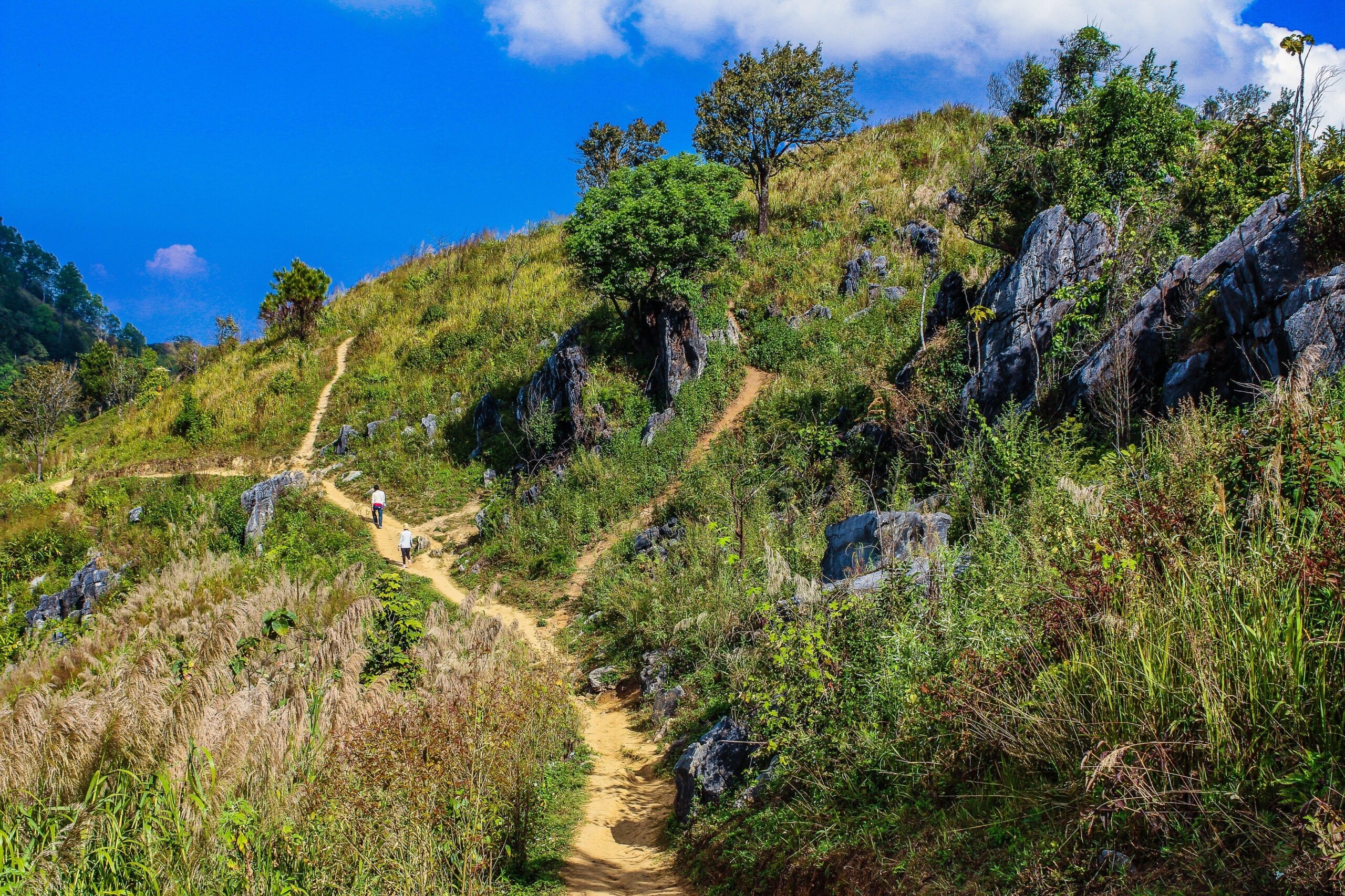Authentic Sapa Experiences: Trekking Beyond the Tourist Crowds