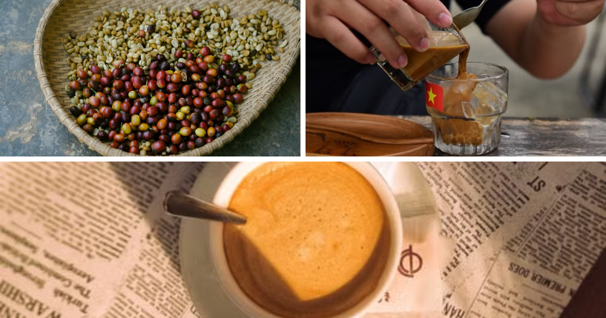 Vietnamese Coffee Culture Explained: From Phin to Plantations
