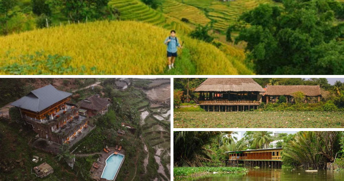 Eco-Friendly Lodgings in Vietnam: Staying Sustainably in Nature
