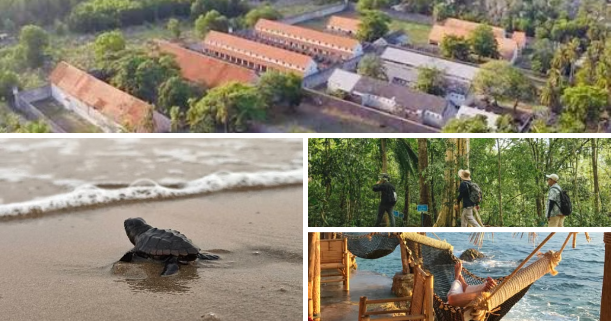 Con Dao Islands Historical and Eco-Tour: Nature Meets History