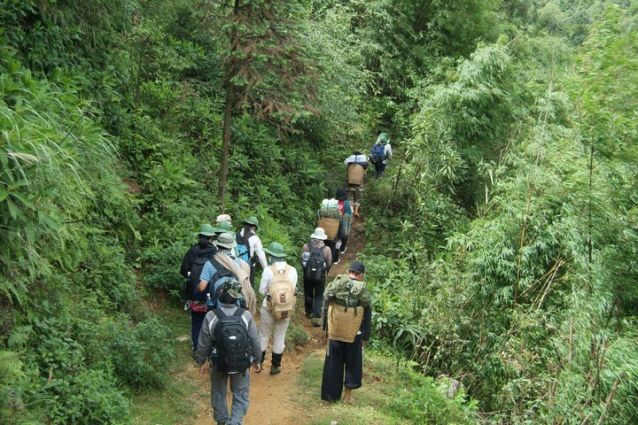 Trekking Mount Fansipan: The Non-Cable Car Route for True Adventurers